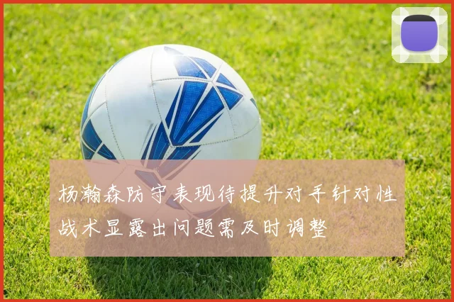 杨瀚森防守表现待提升对手针对性战术显露出问题需及时调整